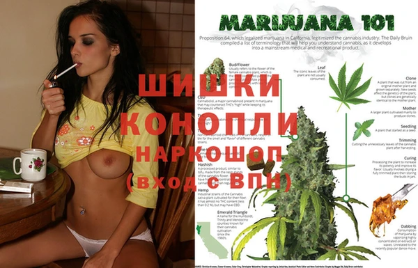 стафф Липки