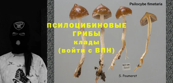 Альфа ПВП Артём