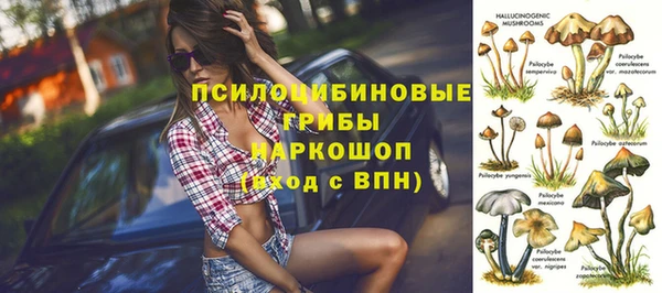 стафф Липки