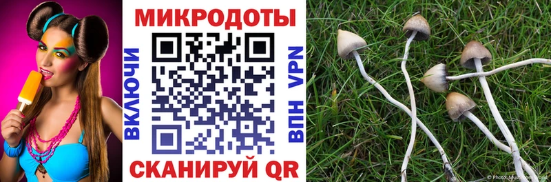 Псилоцибиновые грибы прущие грибы  Фатеж 